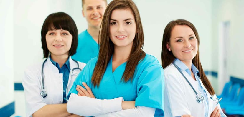 What is Mindtree Nursing Solution and what it offers